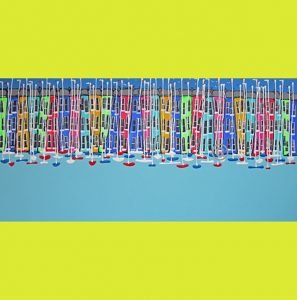 C2163 - Harbour Party