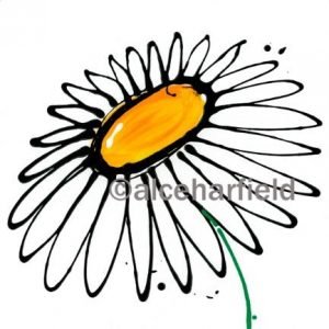Daisy Dot