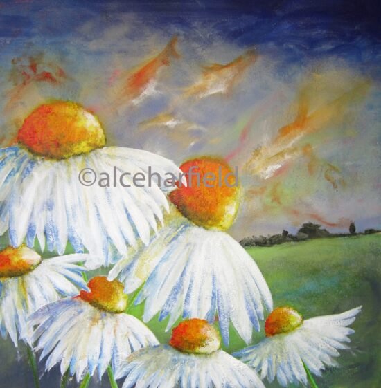 c3100 daisies