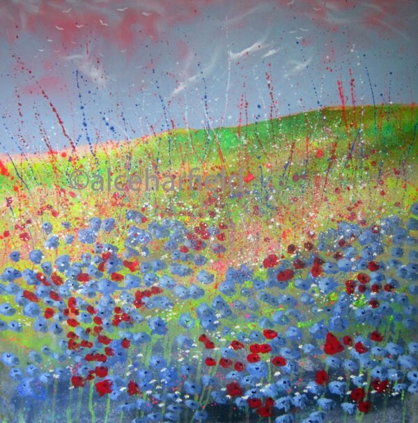 c3101 meadow talk