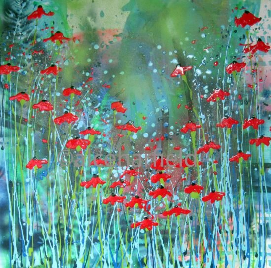c3107 wild poppy rhythms