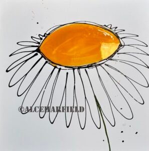 daisy dot (website)