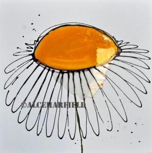 daisy splash (website)
