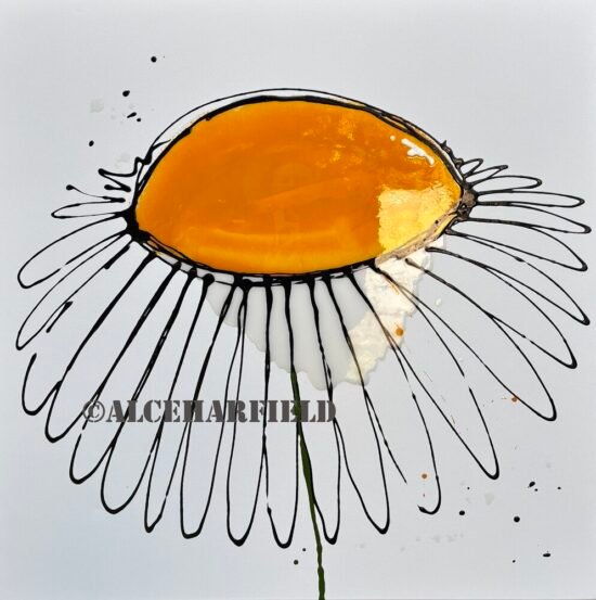 daisy splash (website)